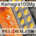 Kamagra100Mg new05